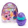 Hatchimals Νεον ουράνιο τόξο μονή συσκευασία