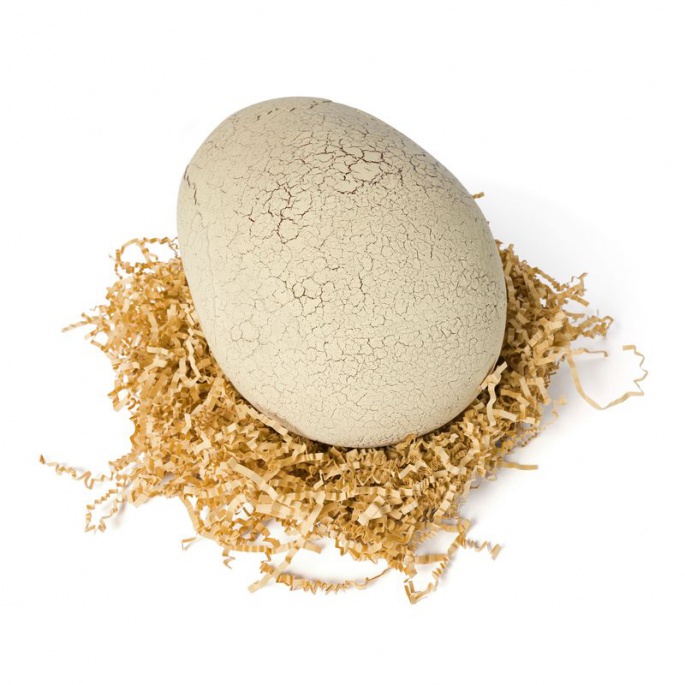 Primal Hatch διαδραστικός Τυραννόσαυρος που εκκολάπτεται από αυγό