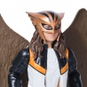 Φιγούρα Hawkgirl 30 cm από την ταινία Superman 2025