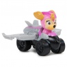 Η ομάδα Paw Patrol σε μεγάλη ταινία με μινιατούρες αυτοκινήτων και φιγούρες
